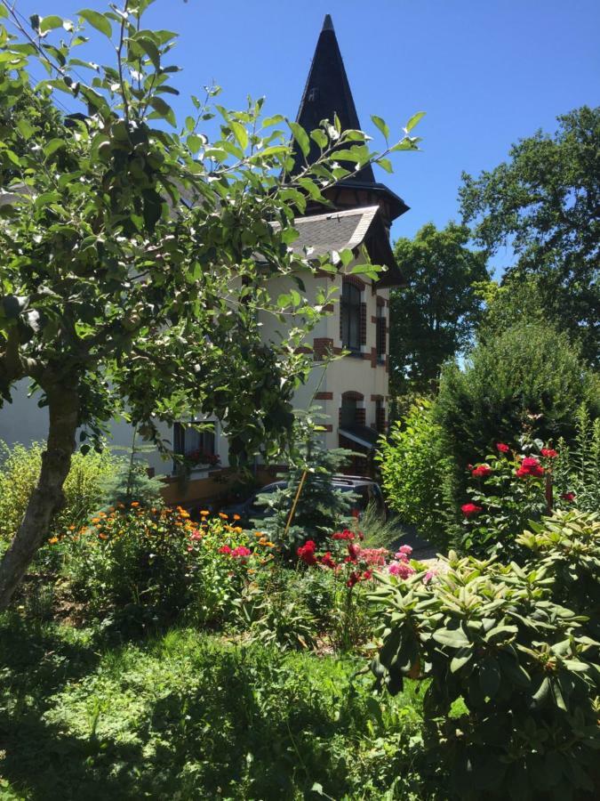 Turmvilla Vogtland Oelsnitz  ภายนอก รูปภาพ